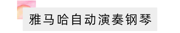 活动报道 | 远程艺术教育大师课活动—云顶集团艺术家吴晓大师课